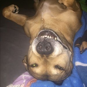 Meet your Posher, Angela